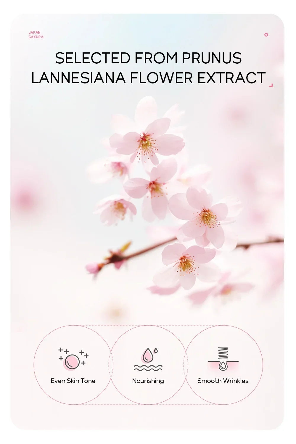 Sakura Peeling Face Mask Deep Cleansing Aging Anti Wrinkle Whitening Blackhead Removed Tear Off Mask Facial Skin Care 50g